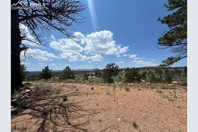 160 Chateau West Drive, Florissant, CO 80816 - Photo 9