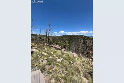 160 Chateau West Drive, Florissant, CO 80816 - Photo 29