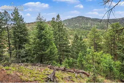 10905 W Highway 24, Green Mountain Falls, CO 80819 - Photo 7