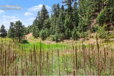 10905 W Highway 24, Green Mountain Falls, CO 80819 - Photo 3