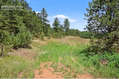 10905 W Highway 24, Green Mountain Falls, CO 80819 - Photo 9