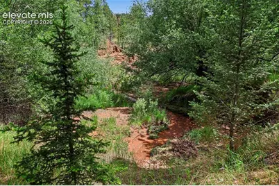 10905 W Highway 24, Green Mountain Falls, CO 80819 - Photo 11
