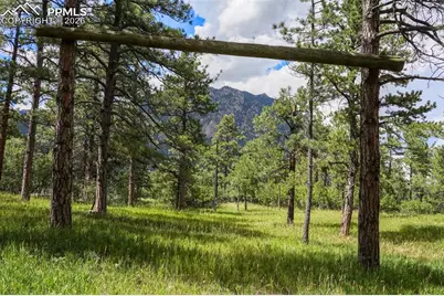 325 Pine Oaks Road, Colorado Springs, CO 80926 - Photo 9