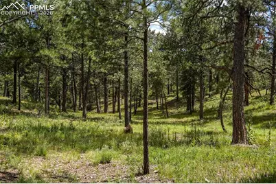 325 Pine Oaks Road, Colorado Springs, CO 80926 - Photo 11