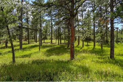 325 Pine Oaks Road, Colorado Springs, CO 80926 - Photo 7