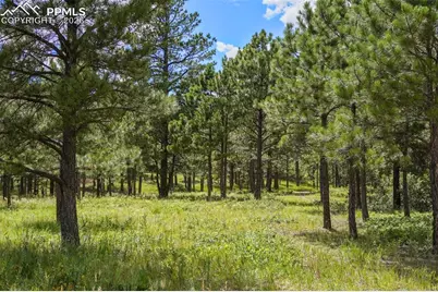 325 Pine Oaks Road, Colorado Springs, CO 80926 - Photo 13