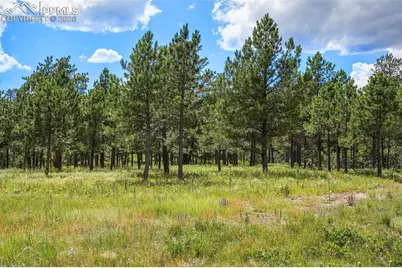 325 Pine Oaks Road, Colorado Springs, CO 80926 - Photo 3