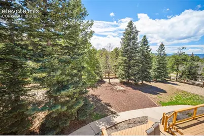 17805 Fairplay Way, Monument, CO 80132 - Photo 47