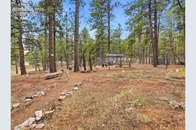 14635 Westcreek Road, Woodland Park, CO 80863 - Photo 47