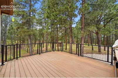 3925 Wavy Oak Drive, Colorado Springs, CO 80908 - Photo 33