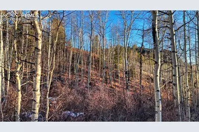 524 Buckhorn Road, Cripple Creek, CO 80813 - Photo 23