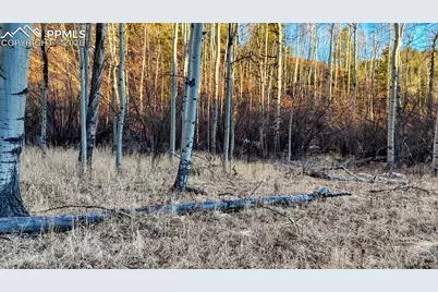 524 Buckhorn Road, Cripple Creek, CO 80813 - Photo 9