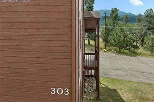 303 E Lake Ave, Woodland Park, CO 80863 - Photo 31