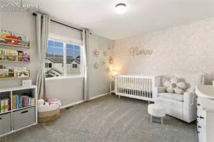 11562 Mountain Turtle Dr, Colorado Springs, CO 80921 - Photo 21