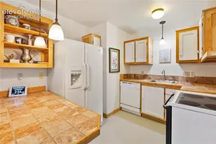 135 Daniwood Grove, Florissant, CO 80816 - Photo 35