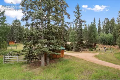 135 Daniwood Grove, Florissant, CO 80816 - Photo 41