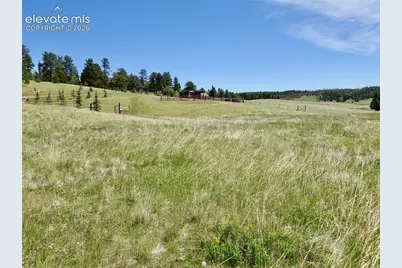 307 Pinaceae Heights, Divide, CO 80814 - Photo 3