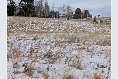 307 Pinaceae Heights, Divide, CO 80814 - Photo 5