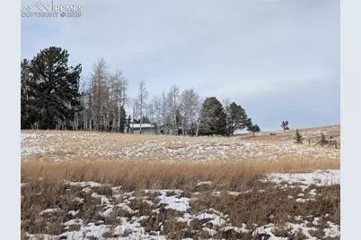 307 Pinaceae Heights, Divide, CO 80814 - Photo 5