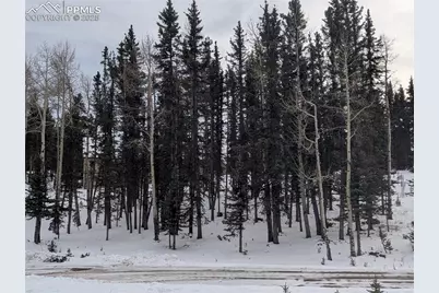 307 Pinaceae Heights, Divide, CO 80814 - Photo 11