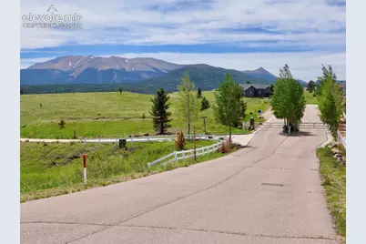 307 Pinaceae Heights, Divide, CO 80814 - Photo 9