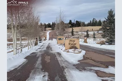 307 Pinaceae Heights, Divide, CO 80814 - Photo 11