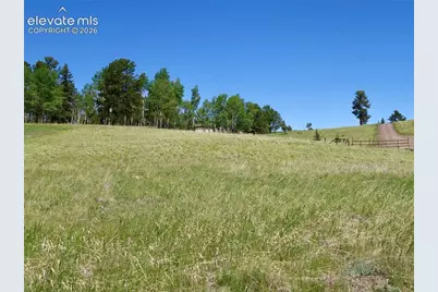 307 Pinaceae Heights, Divide, CO 80814 - Photo 1