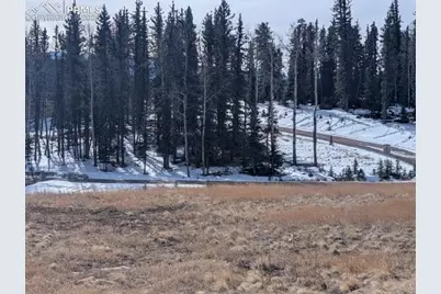 307 Pinaceae Heights, Divide, CO 80814 - Photo 3