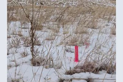 307 Pinaceae Heights, Divide, CO 80814 - Photo 7