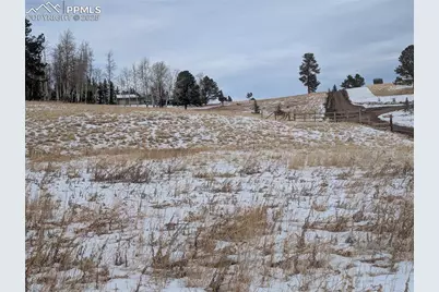 307 Pinaceae Heights, Divide, CO 80814 - Photo 13