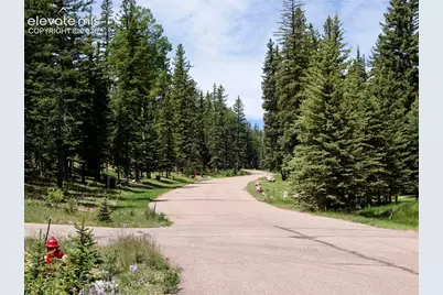 307 Pinaceae Heights, Divide, CO 80814 - Photo 7