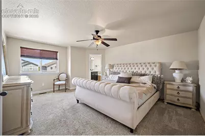 6687 Stingray Lane, Colorado Springs, CO 80925 - Photo 3
