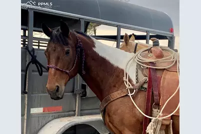 20522 Silverado Hill View, Colorado Springs, CO 80928 - Photo 7