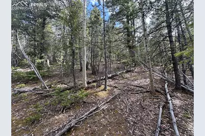 1218 Calcite Drive, Divide, CO 80814 - Photo 11