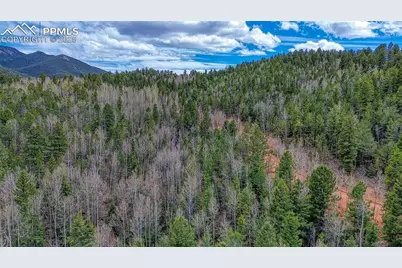 1218 Calcite Drive, Divide, CO 80814 - Photo 13