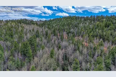 1218 Calcite Drive, Divide, CO 80814 - Photo 29