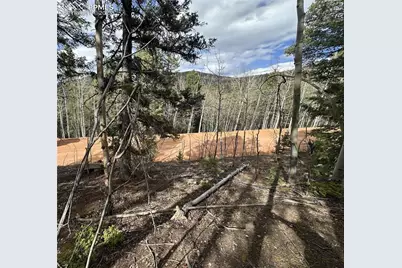 1218 Calcite Drive, Divide, CO 80814 - Photo 9