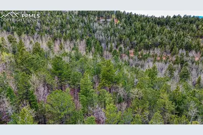 1218 Calcite Drive, Divide, CO 80814 - Photo 25