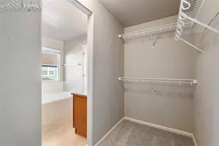 2524 Obsidian Forest View, Colorado Springs, CO 80951 - Photo 29