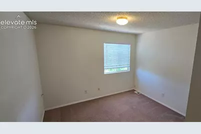 6668 Gooseberry Drive, Colorado Springs, CO 80923 - Photo 17