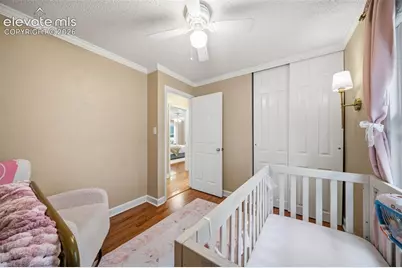 202 Blanca Court, Colorado Springs, CO 80919 - Photo 27