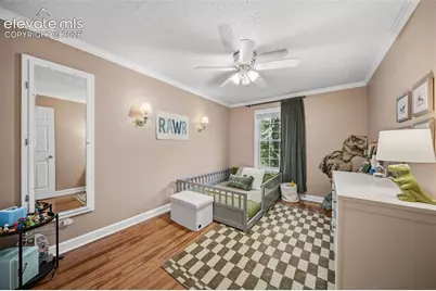 202 Blanca Court, Colorado Springs, CO 80919 - Photo 23