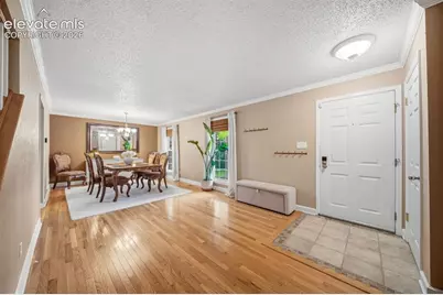 202 Blanca Court, Colorado Springs, CO 80919 - Photo 5