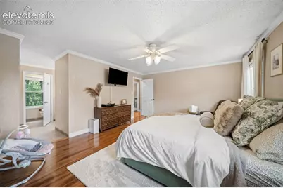 202 Blanca Court, Colorado Springs, CO 80919 - Photo 19