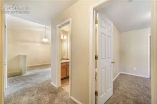 776 Bosque Vista Point, Colorado Springs, CO 80916 - Photo 11