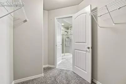 10474 Odin Drive, Colorado Springs, CO 80924 - Photo 25