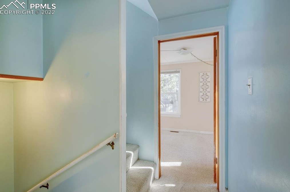 336 Ter Pl, Crystal Hills CO 80829-2538 exterior