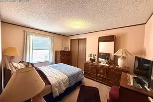 17 Amanda Cir, Florissant, CO 80816 - Photo 45