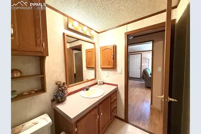 17 Amanda Circle, Florissant, CO 80816 - Photo 47