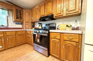 17 Amanda Cir, Florissant, CO 80816 - Photo 19